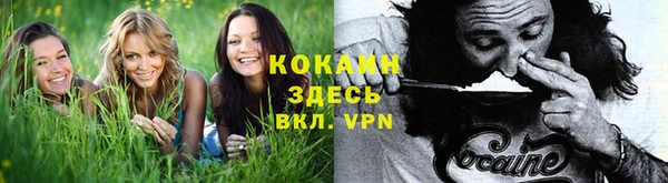 спиды Вязьма