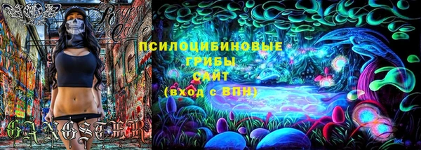 крисы Ступино